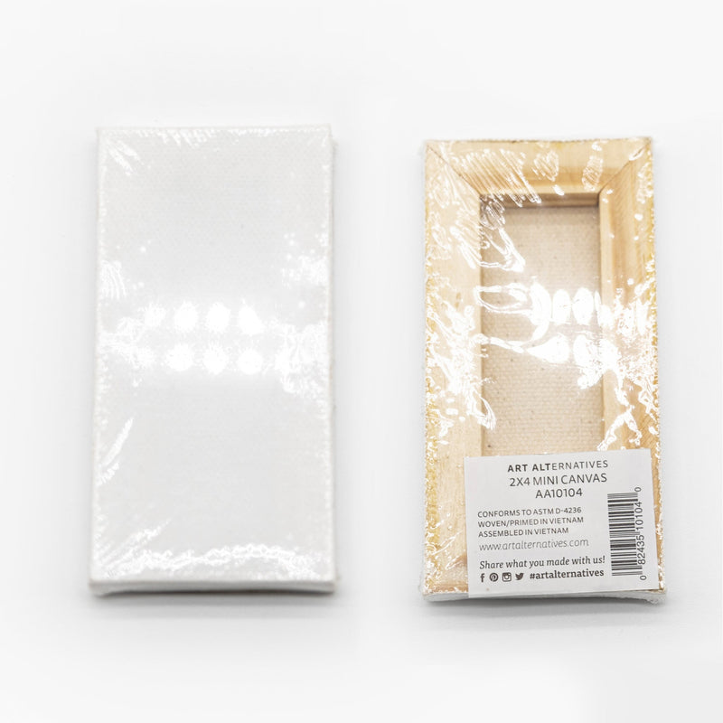 Art Alternatives Mini Canvases
