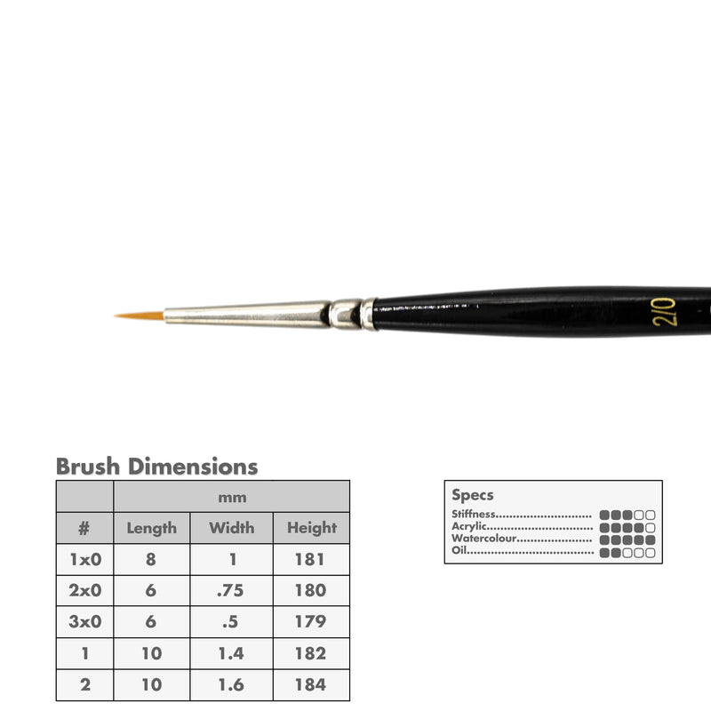 Curry's Series 2500 Gold Taklon Round Brushes