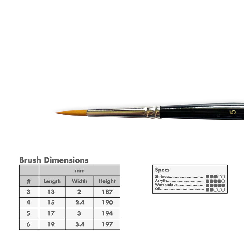 Curry's Series 2500 Gold Taklon Round Brushes