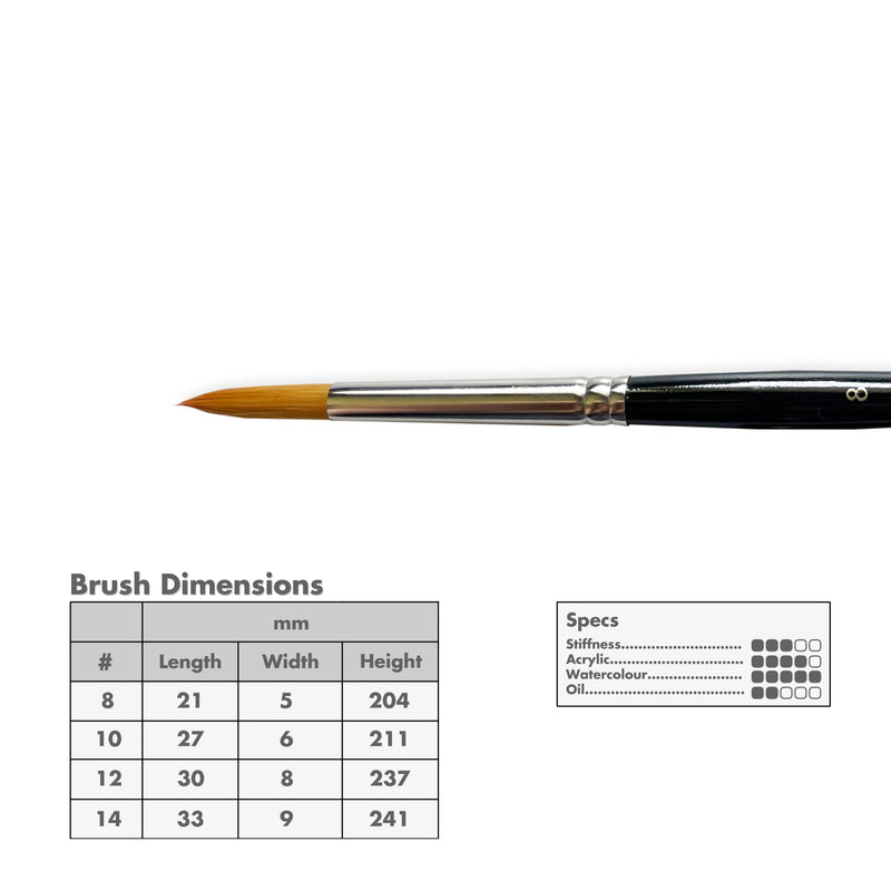 Curry's Series 2500 Gold Taklon Round Brushes