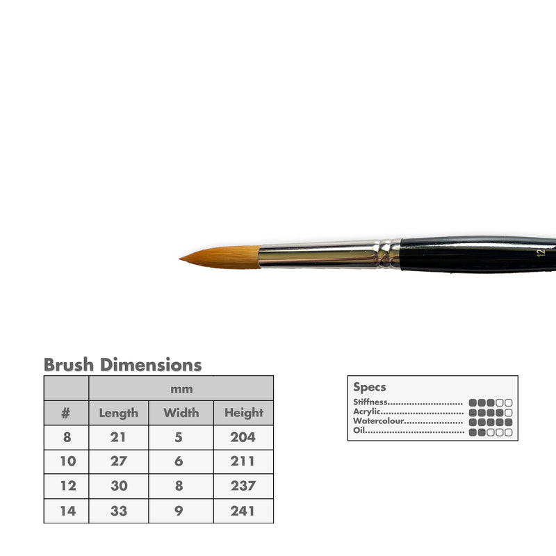 Curry's Series 2500 Gold Taklon Round Brushes