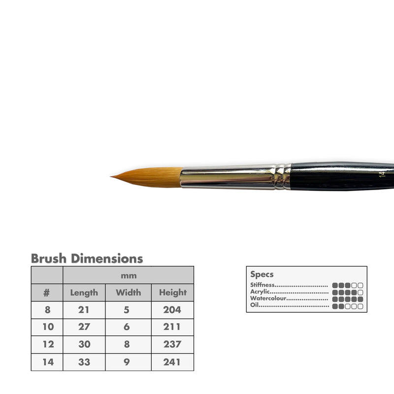 Curry's Series 2500 Gold Taklon Round Brushes