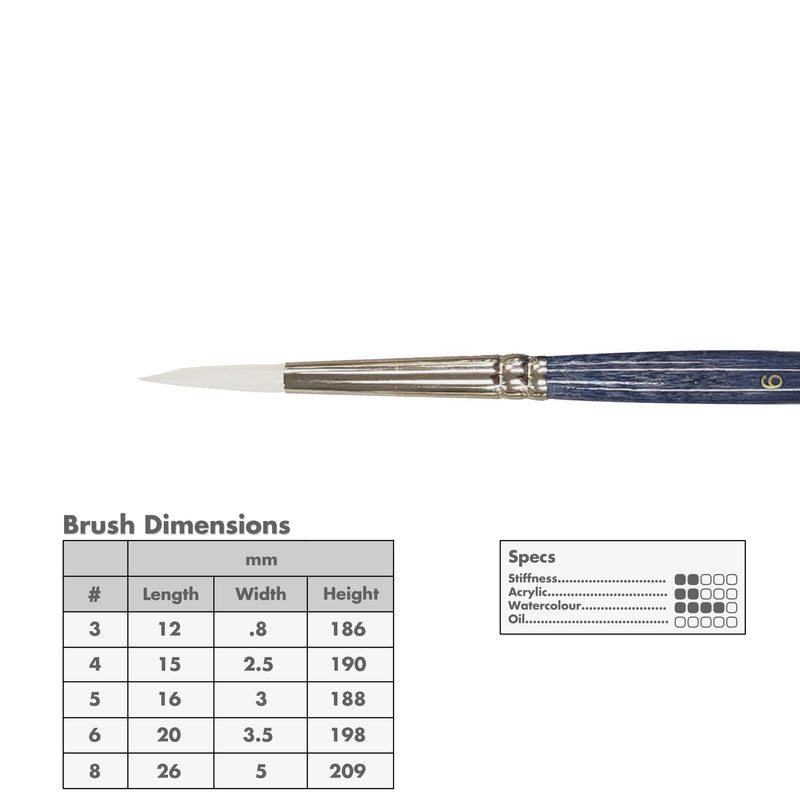 Curry's Series 2600 White Taklon Round Brushes