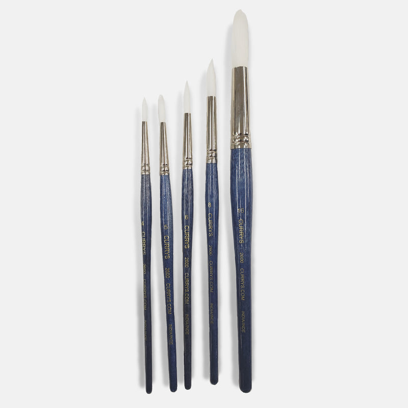 Curry's Series 2600 White Taklon Round Brushes