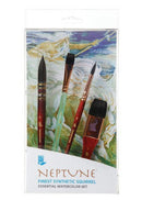 Neptune Professional Box Set