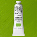 Winsor & Newton Artists' Oil Colours - 37ml