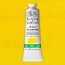 Winsor & Newton Artists' Oil Colours - 37ml