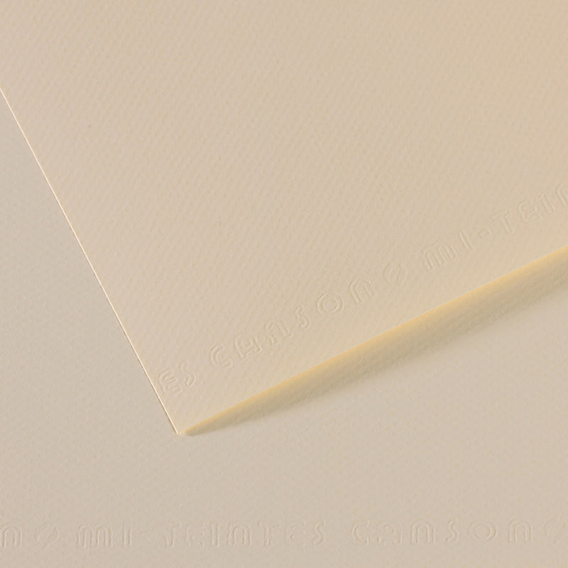 Canson Mi-Teintes Paper - 19x25