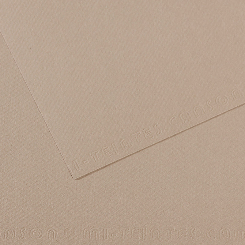 Canson Mi-Teintes Paper - 19x25
