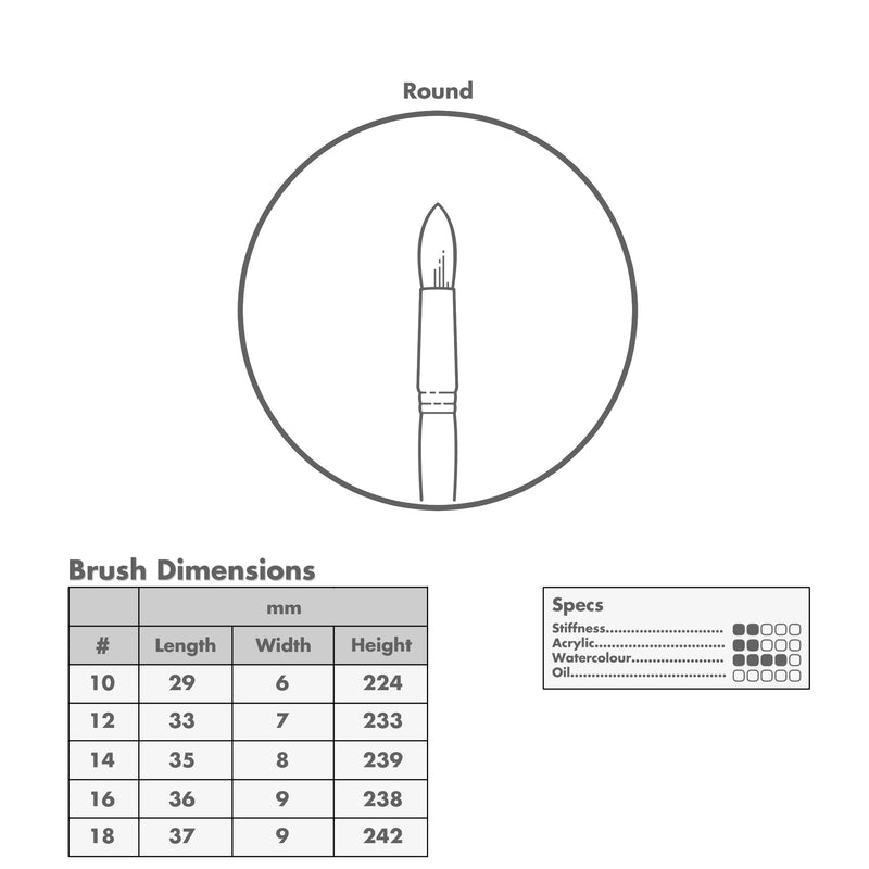 Curry's Series 2600 White Taklon Round Brushes