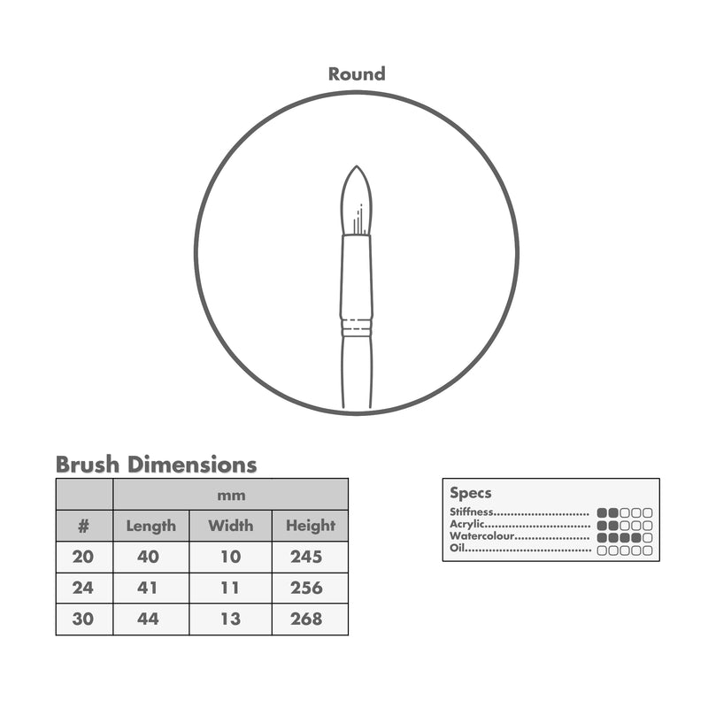 Curry's Series 2600 White Taklon Round Brushes