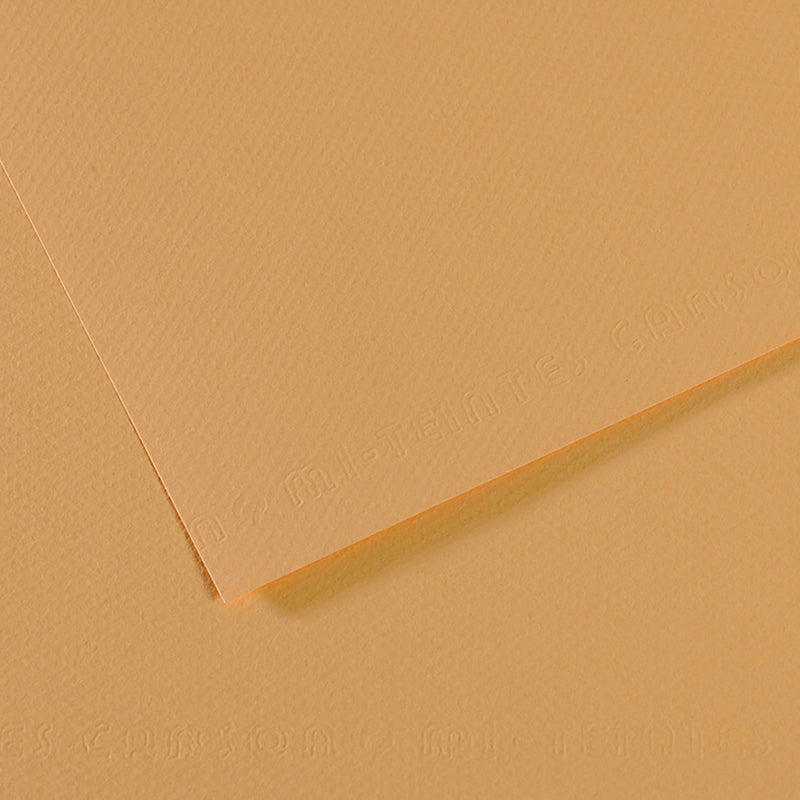 Canson Mi-Teintes Paper - 19x25