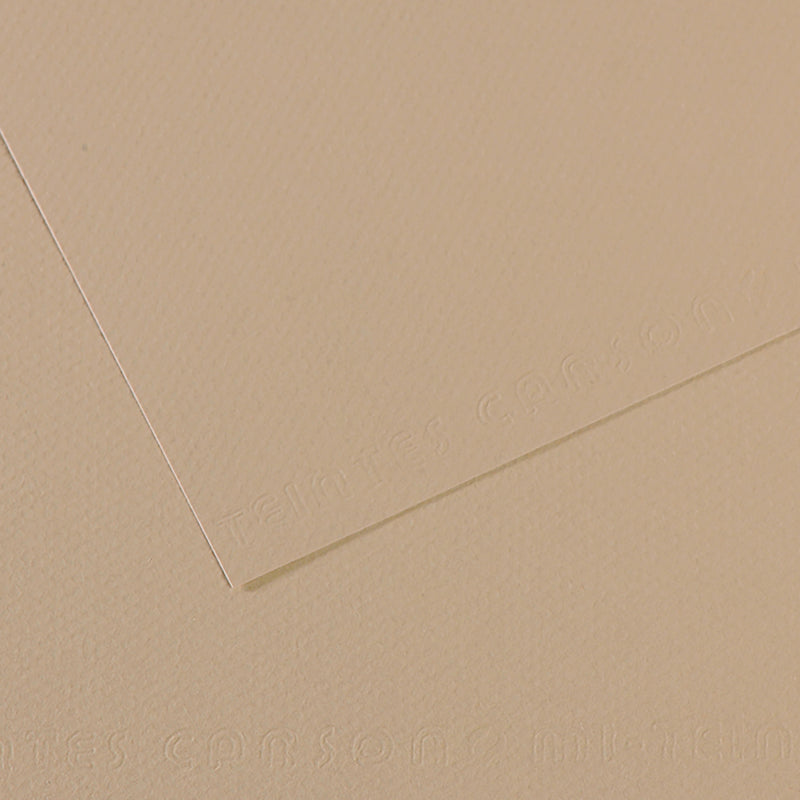 Canson Mi-Teintes Paper - 19x25