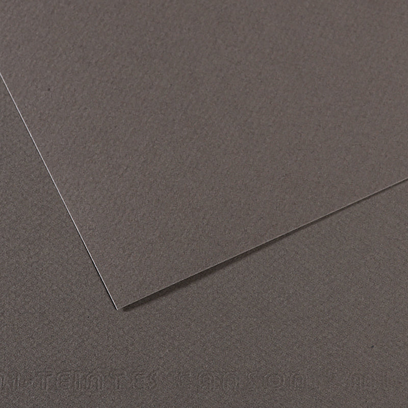 Canson Mi-Teintes Paper - 19x25