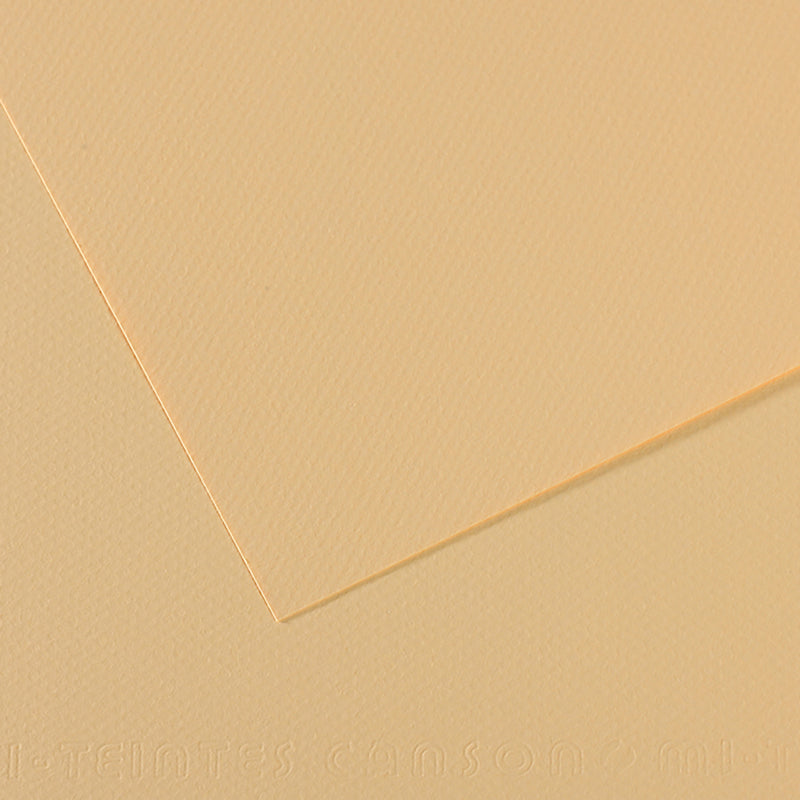 Canson Mi-Teintes Paper - 8.5x11