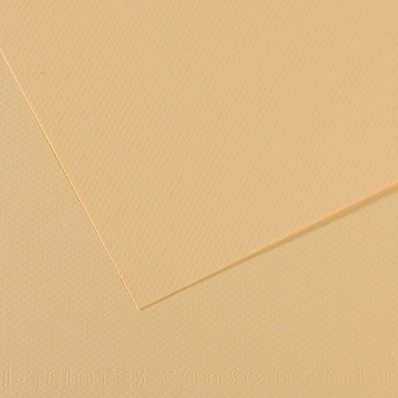 Canson Mi-Teintes Paper - 19x25