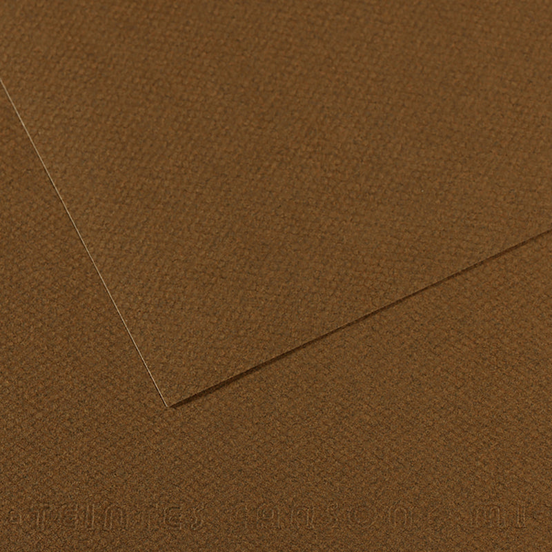 Canson Mi-Teintes Paper - 19x25